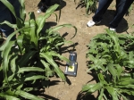 13-rpi_sensor_fieldsite_1